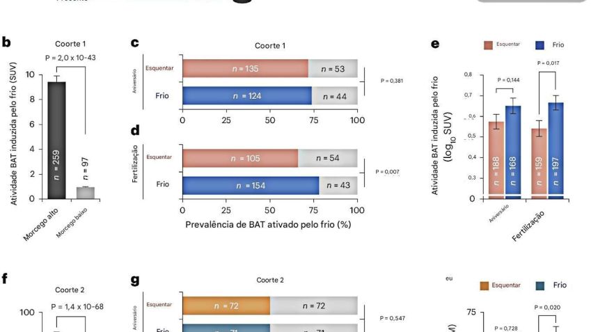 Estação de fertilização predetermina o destino metabólico do tecido adiposo marrom em adultos humanos • Takeshi Yoneshiro ., Nature Metabolism, 2025
