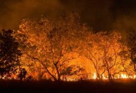 Brasil reduz queimadas em 70% no 1º trimestre de 2025, diz estudo