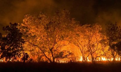 Área queimada no Brasil em 2024 supera média histórica em 62%