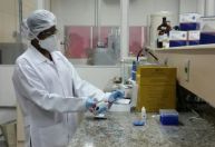Primeira vacina brasileira contra gripe aviária entrará em fase de testes