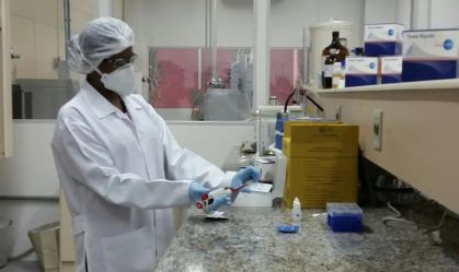 Primeira vacina brasileira contra gripe aviária entrará em fase de testes