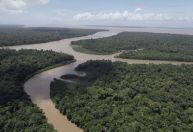 Análise: Sucesso da COP30 é mostrar que o mundo evolui na direção certa
