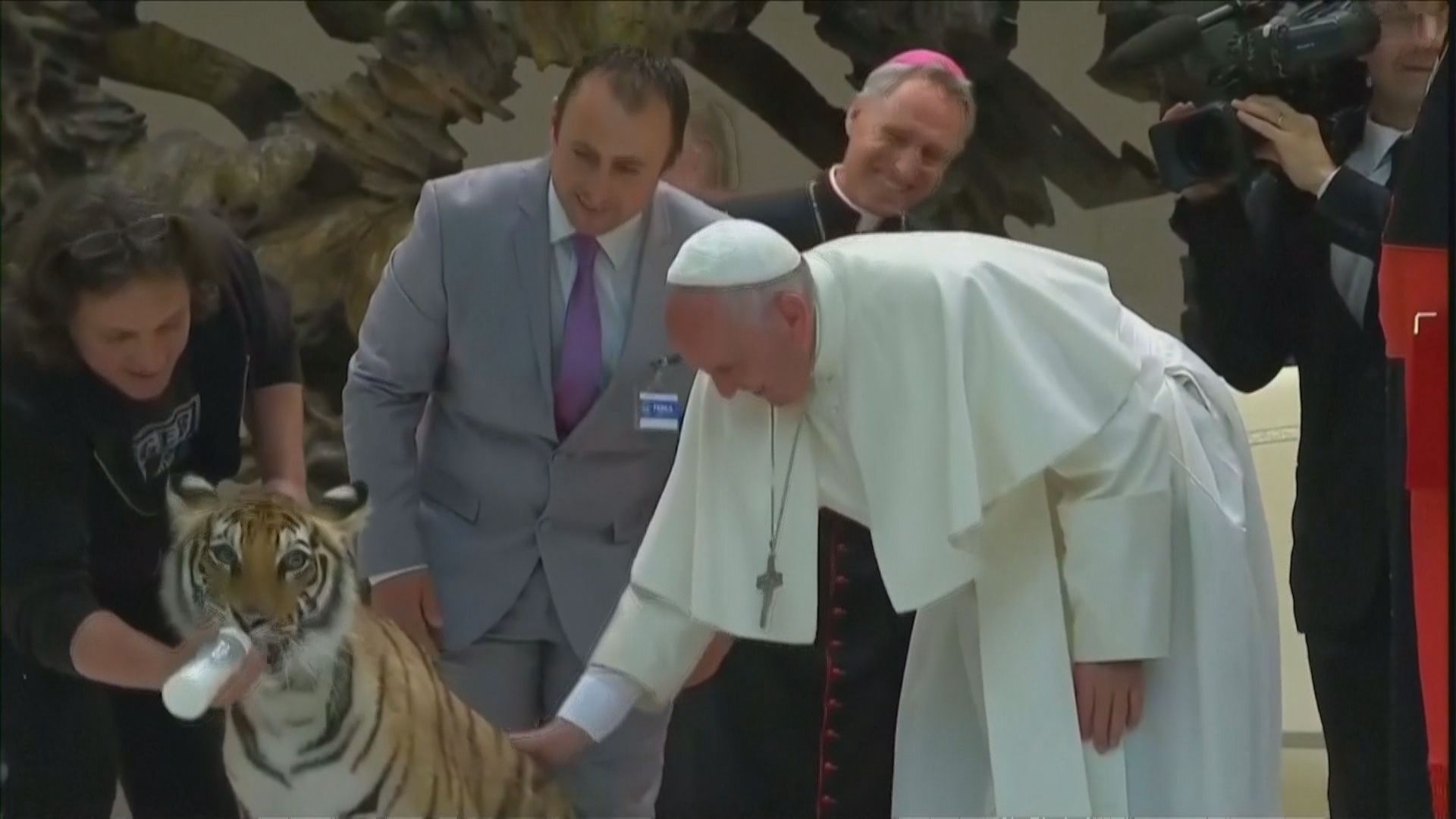 Artistas de circo levaram tigre ao Vaticano para cerimônia celebrada por Francisco