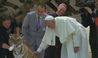 Afago em tigre, reza na pandemia: momentos emocionantes do papa Francisco
