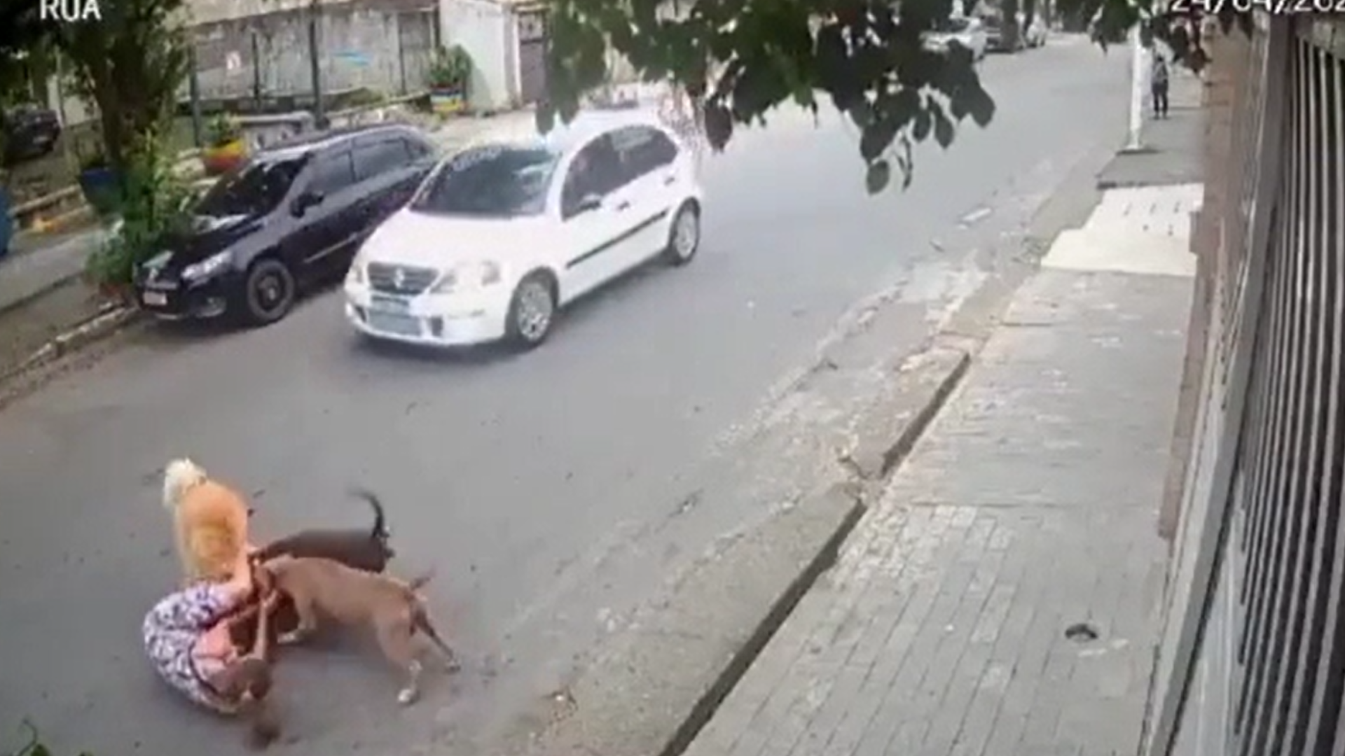 Câmeras de segurança registraram o momento