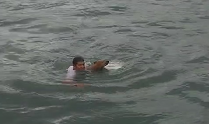 Vídeo: cão é resgatado à deriva no mar por tripulantes de balsa em SP