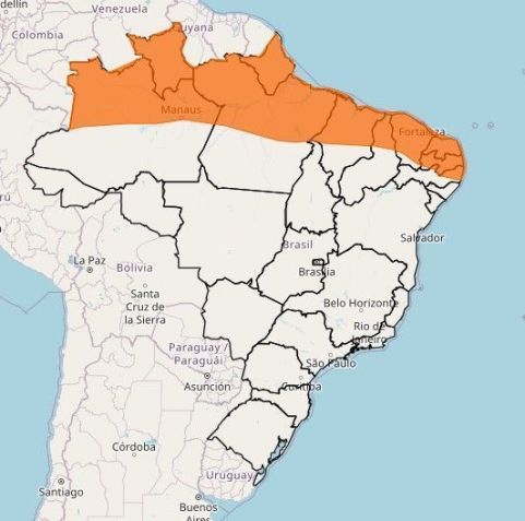 Regiões Norte e Nordeste do Brasil estão em alerta laranja para chuvas intensas • Reprodução/Inmet