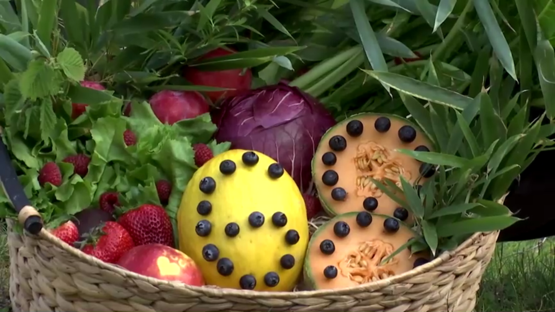 Cesta de frutas de presente para a gorila mais velha do mundo, em Berlim, na Alemanha. • Reprodução/Reuters
