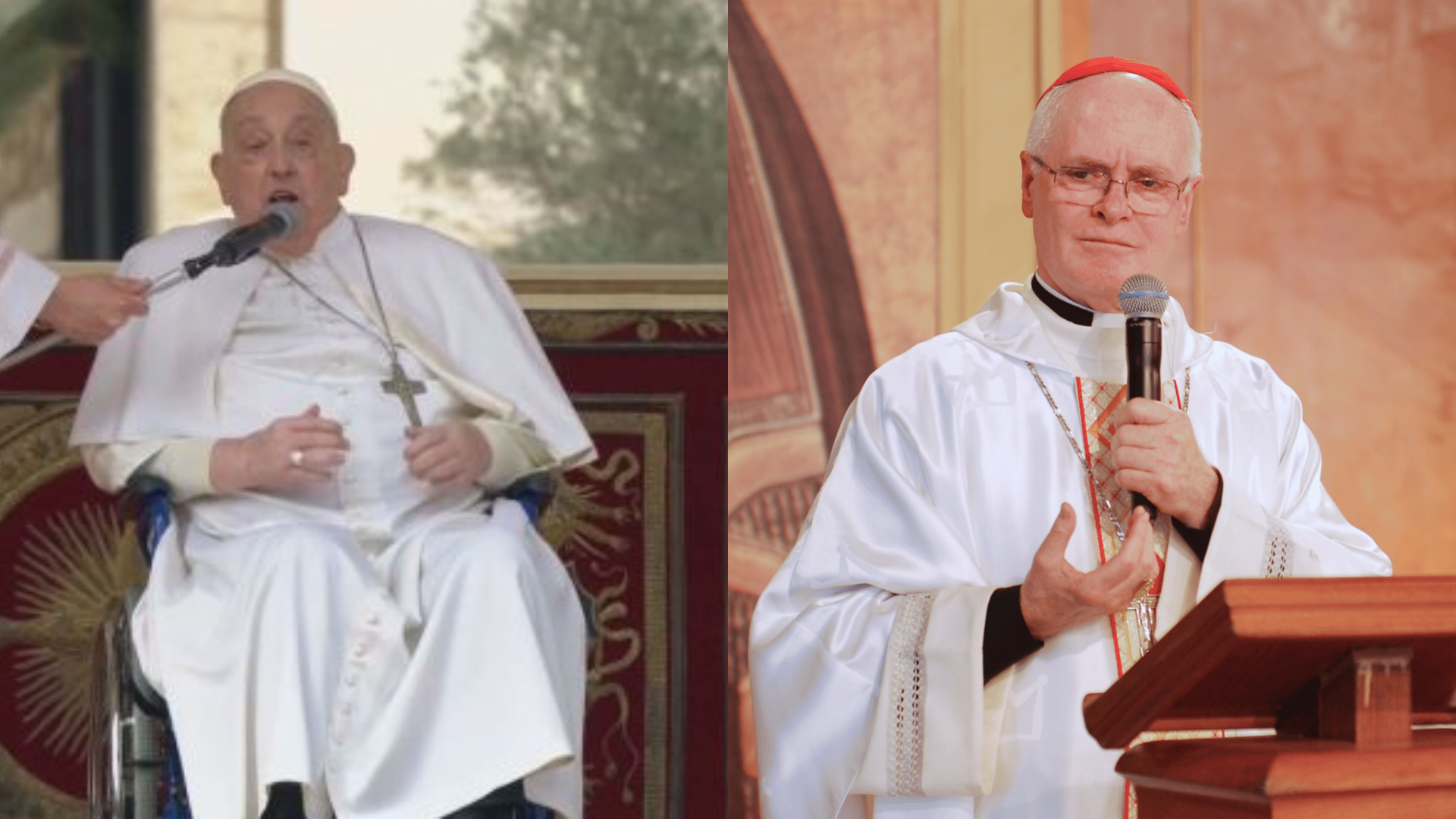Dom Odilo e papa Francisco