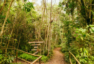 SP inaugura a maior trilha da cidade com 182 km de natureza e ecoturismo