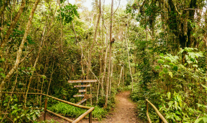 MAIOR TRILHA SP