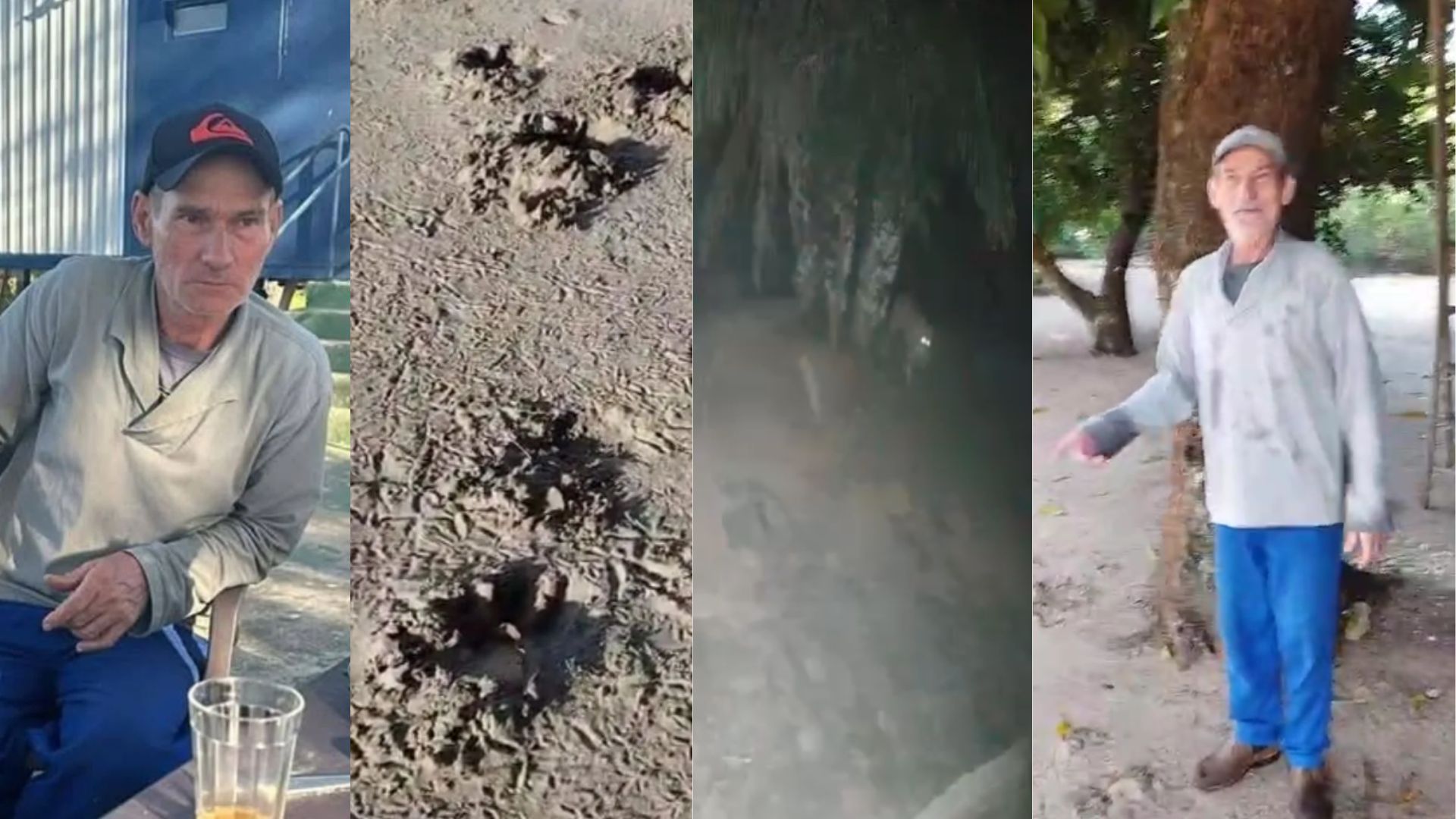 Buscas Por Onça Pintada Que Matou Caseiro No Pantanal Já Passam De 15