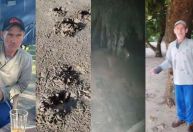 Buscas por onça-pintada que matou caseiro no Pantanal já passam de 15 horas