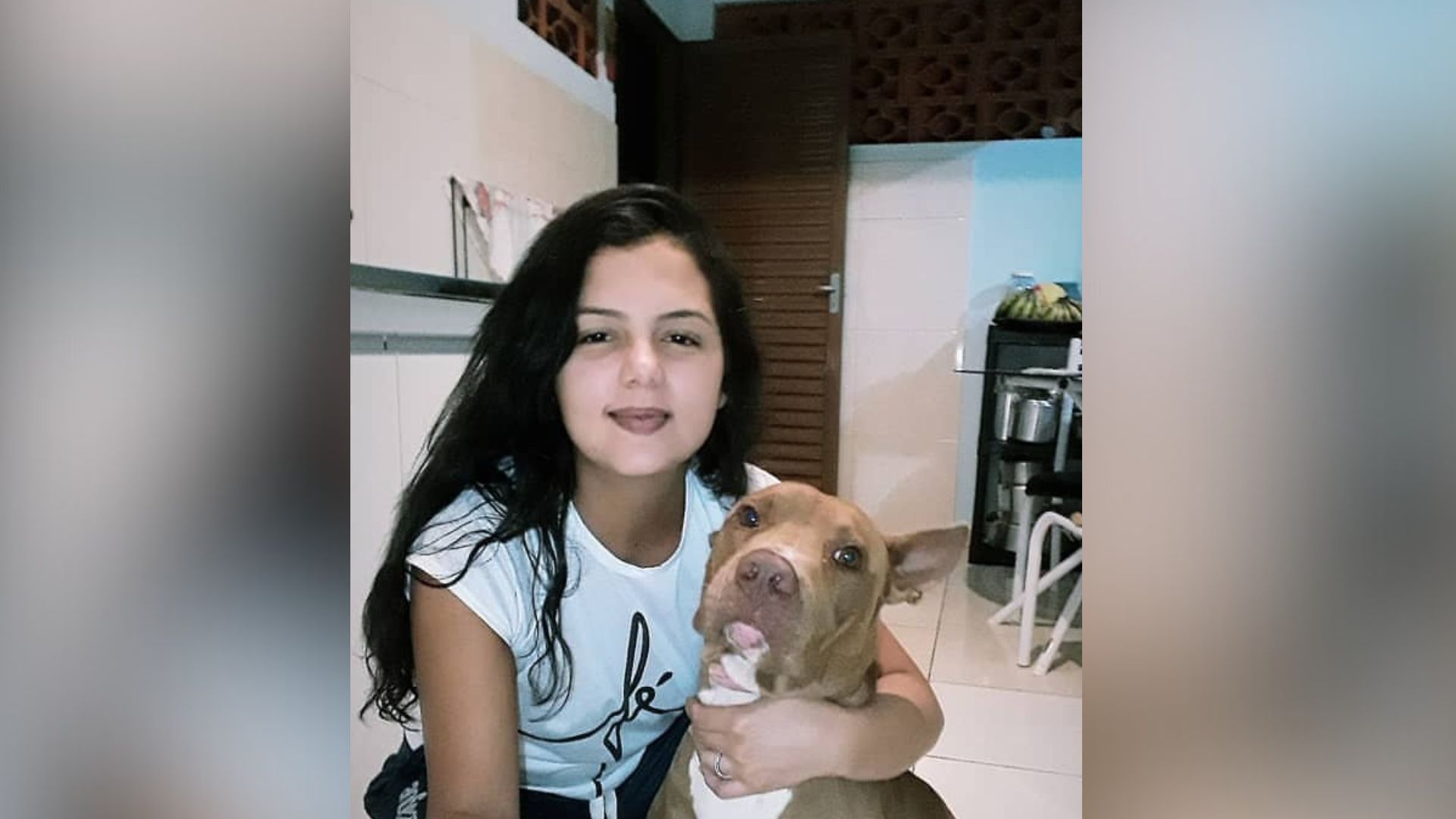 Imagem de destaque do post: Pit bull ataca e mata tutora dentro de casa em cidade do entorno do DF