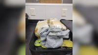 Homem é preso com mais de 7 quilos de maconha dentro de aeroporto no Ceará