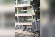 Advogada é presa em flagrante após espancar cachorra no Rio
