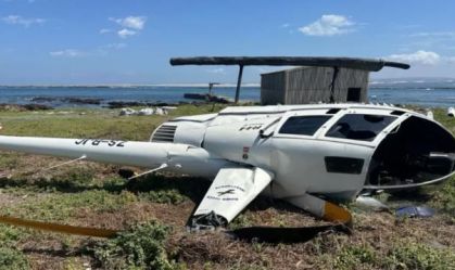 Caixa com pinguim fez helicóptero cair na África do Sul, diz relatório
