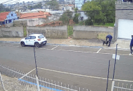 Servidores de cidade do RS são exonerados após sumirem com cão comunitário