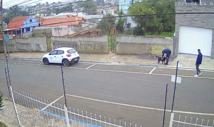 Servidores de cidade do RS são exonerados após sumirem com cão comunitário