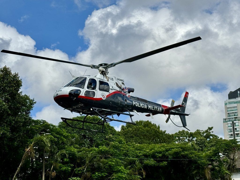Helicoptero-aguia-1024x768
