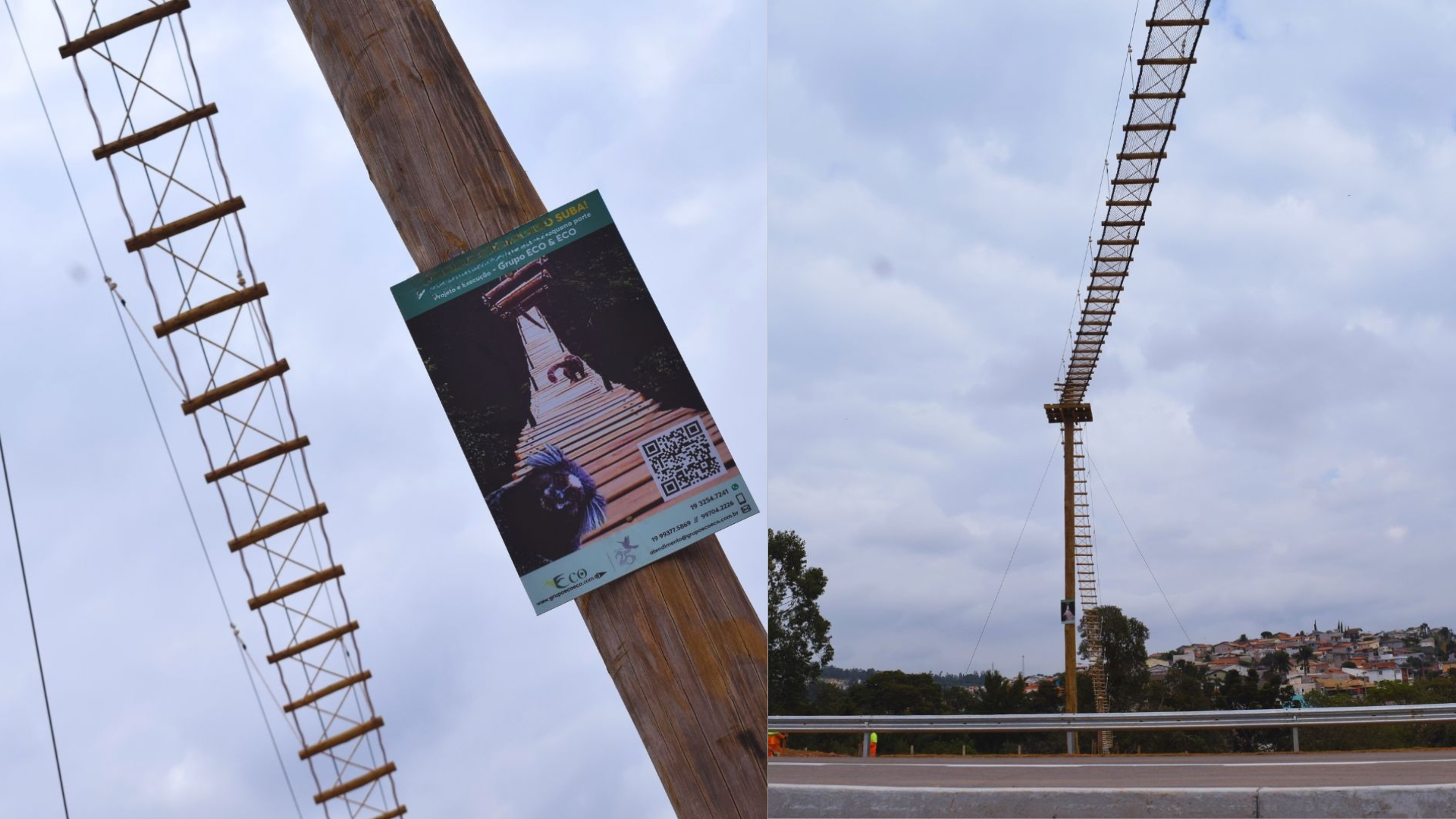 Imagem mostra passagem para animais às margens de rodovia no interior paulista