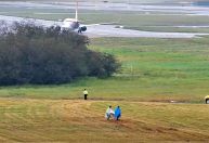 Para evitar choques com aviões, equipe "caça" aves em aeroporto em SP; veja