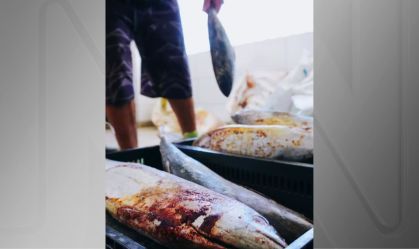 Peixe distribuído por prefeitura causa intoxicação alimentar em moradores
