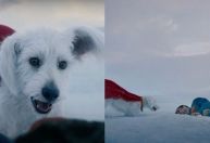 "Superman", de James Gunn, ganha prévia com o supercão Krypto; assista