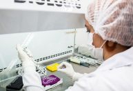 Anvisa aprova vacina do Instituto Butantan e Valneva contra chikungunya