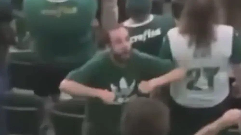 Palmeiras_Torcedor