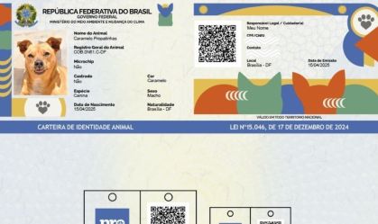 RG dos pets: como fazer e para que serve