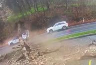 Vídeo: Mulher escapa por pouco ao ter carro esmagado por árvore nos EUA