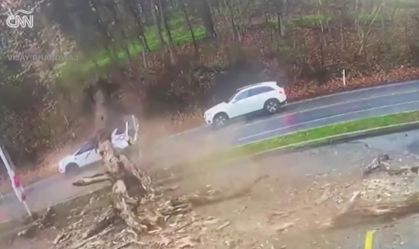 Vídeo: Mulher escapa por pouco ao ter carro esmagado por árvore nos EUA
