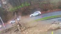 Vídeo: Mulher escapa por pouco ao ter carro esmagado por árvore nos EUA