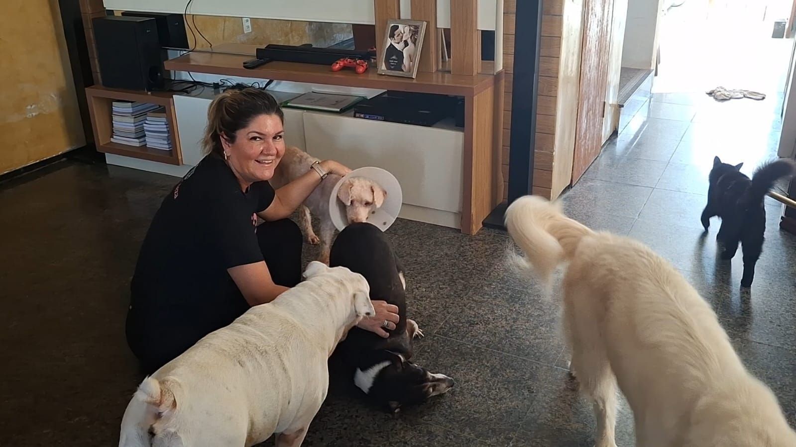 Ativista Stefani Rodrigues com o Scooby e seus outros cachorros • Reprodução/Stefani Rodrigues