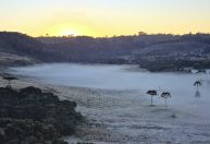 Região Serrana de Santa Catarina fica coberta com geada e registra -1,9°C