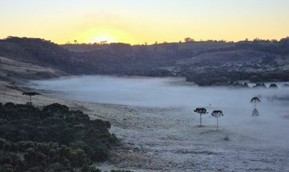 Região Serrana de Santa Catarina fica coberta com geada e registra -1,9°C