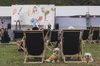 Feira do Livro em SP terá obras de Machado de Assis e Garcia Marques grátis