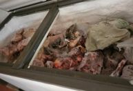 Peixe podre: força-tarefa apreende 2 toneladas de alimentos em abatedouro