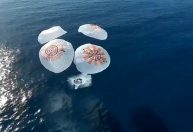 Turistas espaciais da missão da SpaceX voltam à Terra; veja o momento