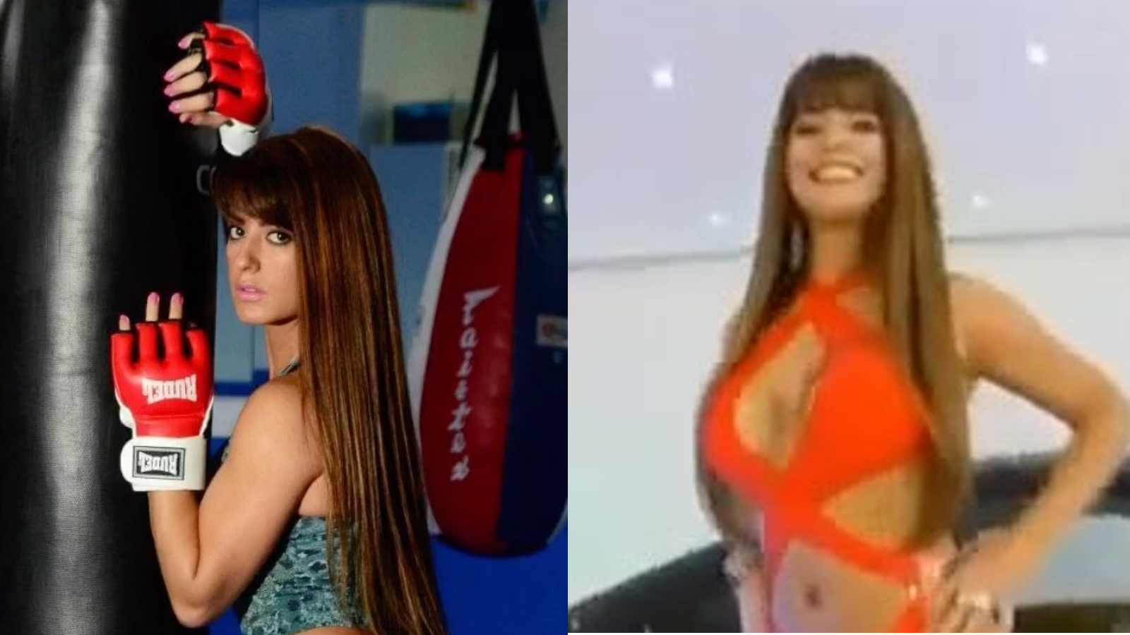Além de seu trabalho no palco no programa Pânico na Band, que ficou no ar entre 2012 e 2017, Ana Paula participou de reality shows, posou para a capa da revista Playboy e venceu alguns concursos de beleza