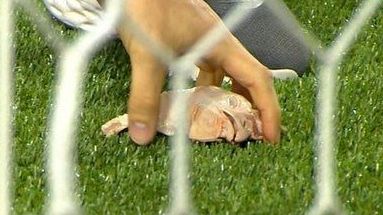 Cabeça de Galinha foi arremessada no gramado durante Palmeiras x Corinthians na Arena Barueri