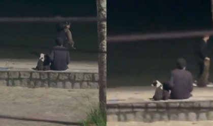 Vídeo: mulher joga cachorros no mar em Itaguaí; duas pessoas são presas