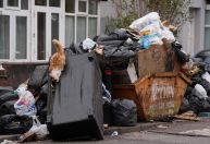 Ratos "maiores que gatos" vagam pelo Reino Unido em meio à greve de garis