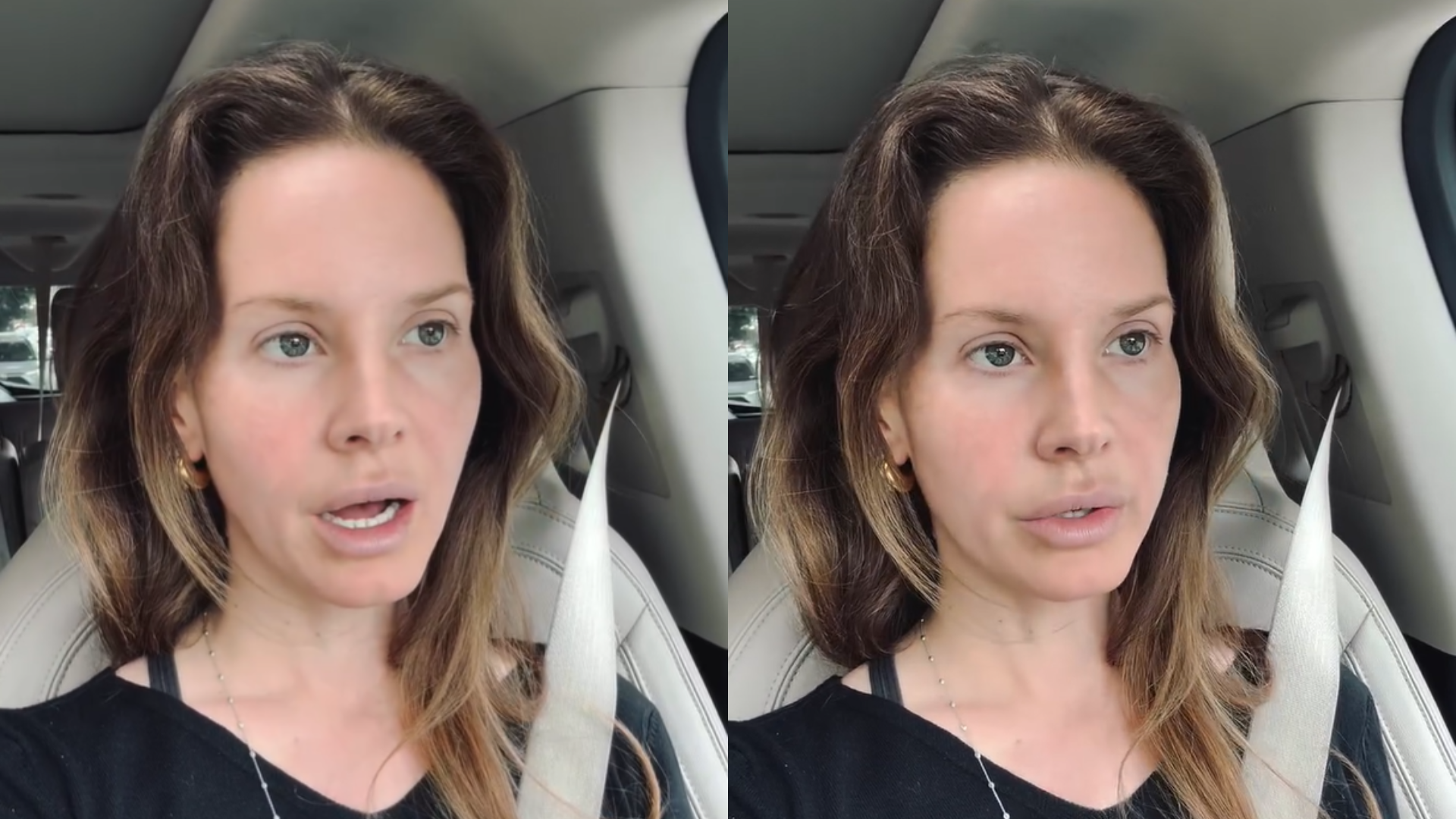 Lana Del Rey lançou música após receber sinal espiritual de pássaro