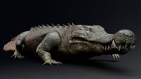 Fóssil revela "crocodilo do terror" que caçava dinossauros