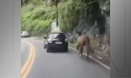 Homem é flagrado dirigindo carro e arrastando cavalo por rua do RJ