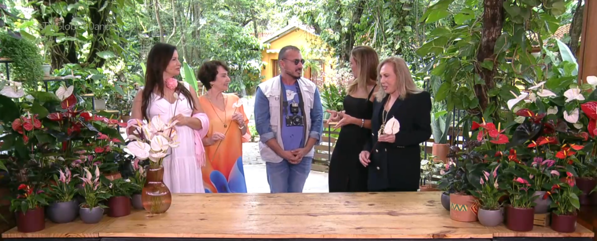 Elenco de "Pedra Sobre Pedra" se reencontrou no É de Casa • Reprodução/TV Globo