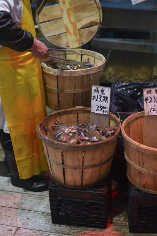 Um trabalhador organiza frutos do mar dentro do Chang Jiang • Nova York, EUA - 18/04/2025, Emmalee Reed / CNN Internacional