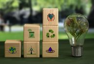 Setor privado global entrega recomendações à presidência da COP30
